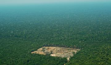Amazonie: Washington veut un combat «mondial» contre la déforestation