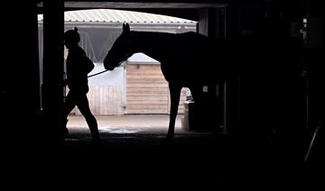 On montait déjà à cheval il y a 5000 ans en Europe