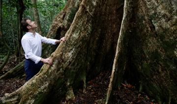 Sommet pour la protection des forêts tropicales: Emmanuel Macron déroule son « plan d'action »