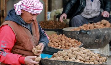 Syrie: trois personnes ramassant des truffes tuées, 26 enlevées 