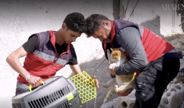 «L'homme aux chats d'Alep» est de retour après le séisme qui a déchiré la Syrie