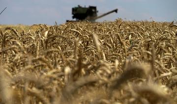 Céréales interdites en Pologne: Négociations entre Kiev et Varsovie pour sortir de l'impasse