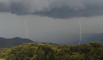 Tempête Mathis: Deux morts après des chutes d'arbres en Grand Est