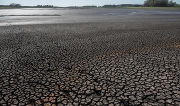 Moyen-Orient: Sous 2°C, 80% des morts liés à la chaleur peuvent être évités, selon une étude