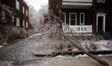 Tempête de verglas: Montréal figé sous la glace, importants dégâts matériels