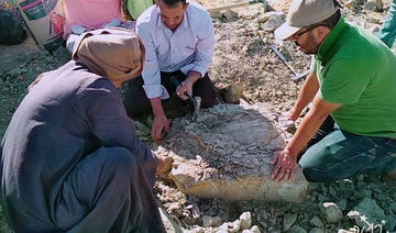 En Égypte, des archéologues mettent au jour une tortue de rivière de soixante-dix millions d'années