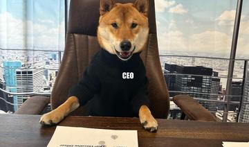 Du Blue Bird au mème Doge: l'icône de Twitter fait bondir de 30% la valeur du dogecoin! 