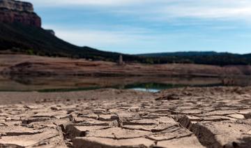 Les météorologues, nouvelle cible de la désinformation climatique 