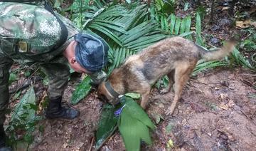 Quatre enfants, dont un bébé, ont survécu seuls 15 jours dans l'Amazonie colombienne