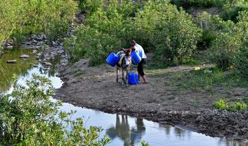 En Tunisie, la permaculture s'épanouit face aux défis climatiques