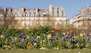 « Paris Sème » : des graines de plantes locales distribuées sur les rives de Seine !