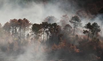 Feux de forêt: le Parlement renforce la prévention