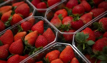 Menacée de boycott, la fraise espagnole voit rouge 