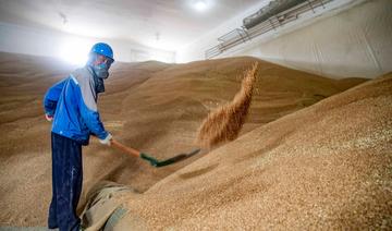 Après le rebond, les céréales dévissent, la volatilité secoue le marché