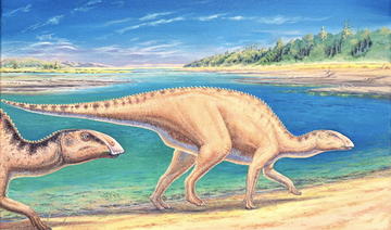 Des restes d'un dinosaure jamais répertorié en Amérique du sud découverts en Patagonie chilienne