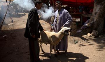 Aïd al-Adha au Maroc, les marchés de vente de bétail pris d’assaut