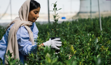 Comment les initiatives environnementales saoudiennes rétablissent l’équilibre naturel