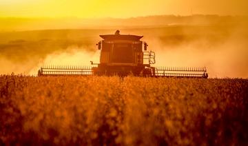 Accord UE-Mercosur: espoirs et craintes des agriculteurs en Europe et en Amérique du Sud