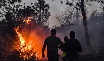 Les incendies meurtriers éteints en Algérie