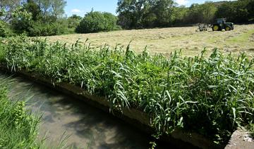 En Provence, quand irrigation agricole, nappe phréatique et biodiversité font bon ménage