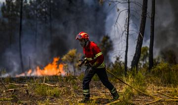 L'Espagne et le Portugal en proie à la canicule et en état d'alerte face au risque d'incendies
