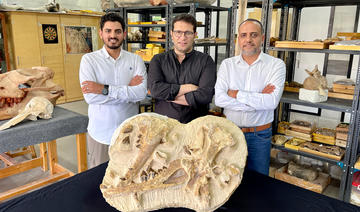 L'Egypte annonce la découverte d'une des plus anciennes baleines d'Afrique