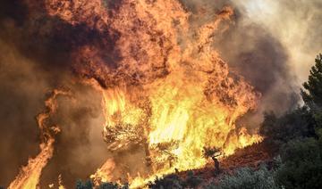 Grèce: 18 migrants présumés retrouvés morts dans un feu de forêt