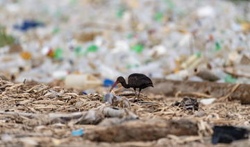 La pollution plastique des océans moindre en quantité mais plus durable, selon une étude