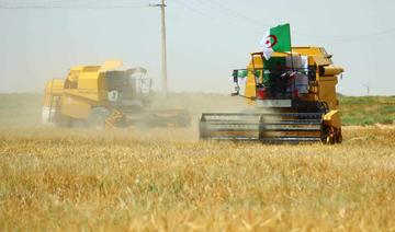 Algérie, le rendement agricole affecté par le changement climatique