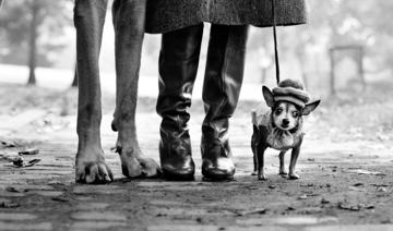 Elliott Erwitt: immortaliser des instants de la vie quotidienne