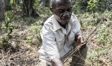 Investir dans les PME agricoles en Afrique: Une solution cruciale pour combattre la faim