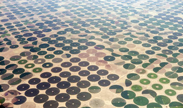 L’autosuffisance agricole au cœur des objectifs de l’Arabie saoudite