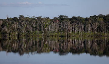 Brésil: 14 morts dans le crash d'un avion en Amazonie