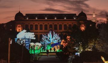 Automne tropical dans les grandes serres du Jardin des Plantes