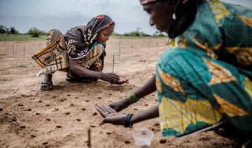Une initiative de la FAO investit 6 milliards de dollars dans des projets prometteurs au Sahel