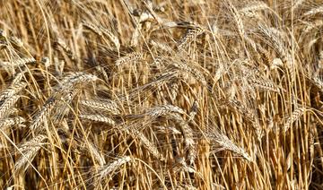 Agriculture intelligente et sécurité alimentaire