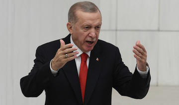 Erdogan: «La Turquie n'attend plus rien de l'Union européenne»