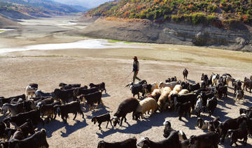 Comment la pénurie d'eau au Moyen-Orient perturbe l'agriculture et aggrave l'insécurité alimentaire 