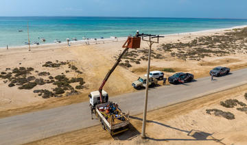 Arabie saoudite: Dans la réserve des îles Farasan, des isolateurs pour protéger les oiseaux