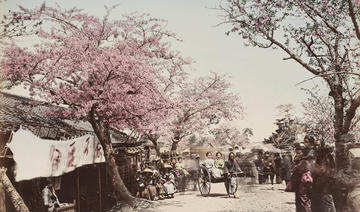 Le Japon en couleurs, photographies du XIXe siècle