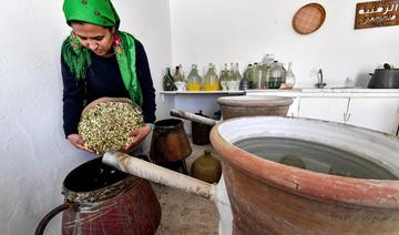 Tourisme durable: Quand la cuisine tunisienne se réinvente