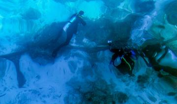 Des plongeurs volontaires, sentinelles de l'unique récif corallien d'Oman