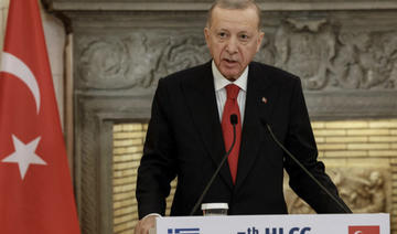 Veto à l'Onu: Erdogan dénonce le «Conseil de protection d'Israël»