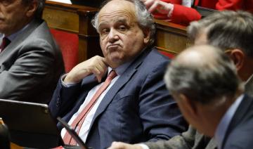Pour le patron des députés MoDem, les demandes de la FNSEA sont «raisonnables»