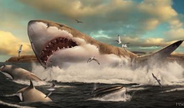 Le mégalodon subit une cure de minceur