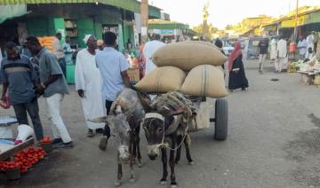 Au Soudan, la guerre a aussi détruit l'économie