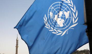 Israël interdit l'entrée d'une experte de l'ONU après ses propos sur le 7 octobre