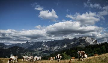 L'agroalimentaire, un fleuron fragile du commerce extérieur français