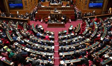 Loi immigration: après la censure, les sénateurs centristes relancent le débat 
