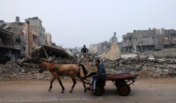 Dans le nord de Gaza, manger son cheval pour ne pas mourir de faim